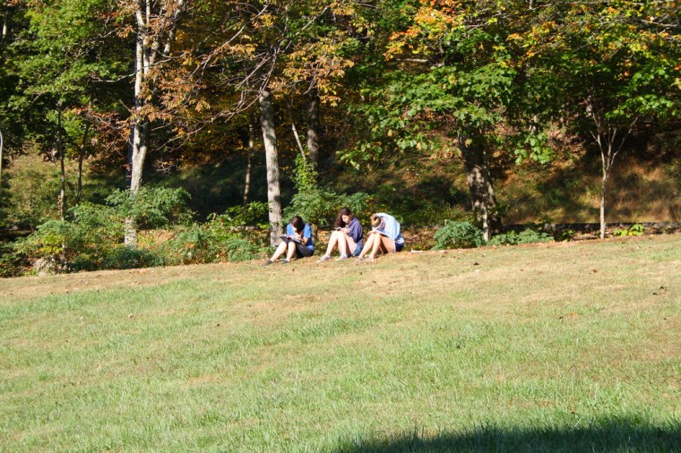 10122126074_8835dd2b2a_b